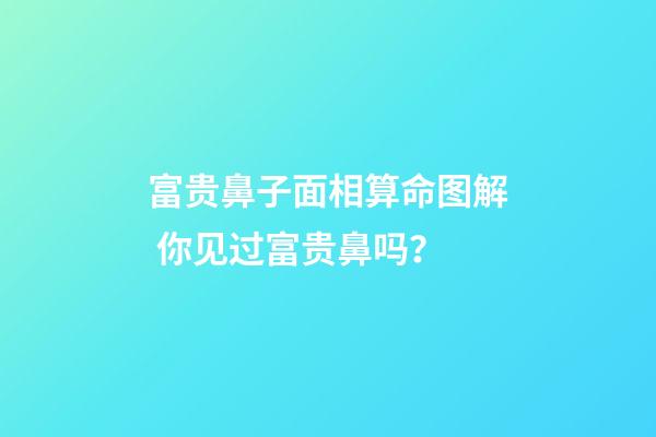 富贵鼻子面相算命图解 你见过富贵鼻吗？